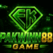 PAKWIN88 GAME