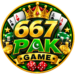667PAK Game